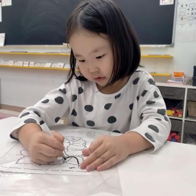 Нулевой класс