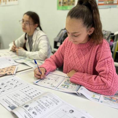 Китайский язык